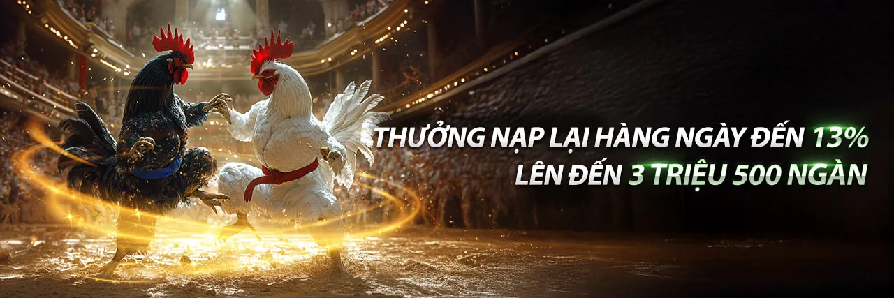 Hình ảnh chiến lược cá cược trực tuyến hiệu quả tại win13 nhà cái